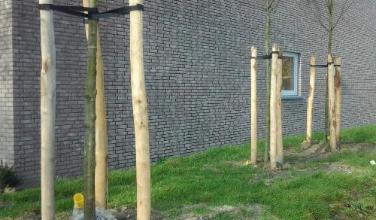 Bescherm bomen tegen wind met ons boomsteun bouwpakket.