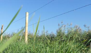 Prikkeldraad van Naturae voor omheining of afsluiting van veld, bos, erf of domein.